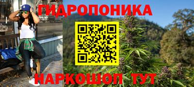 гидра Краснокаменск