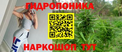 гидра Краснокаменск