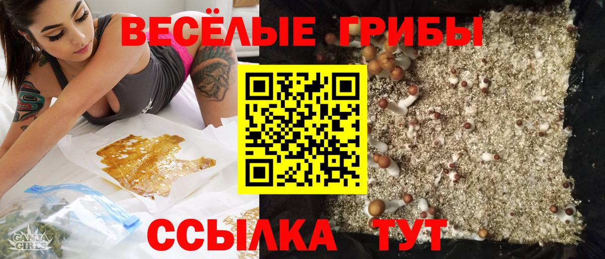 Псилоцибиновые грибы Psilocybe  Вход с VPN  Псилоцибиновые грибы мицелий  Казань 