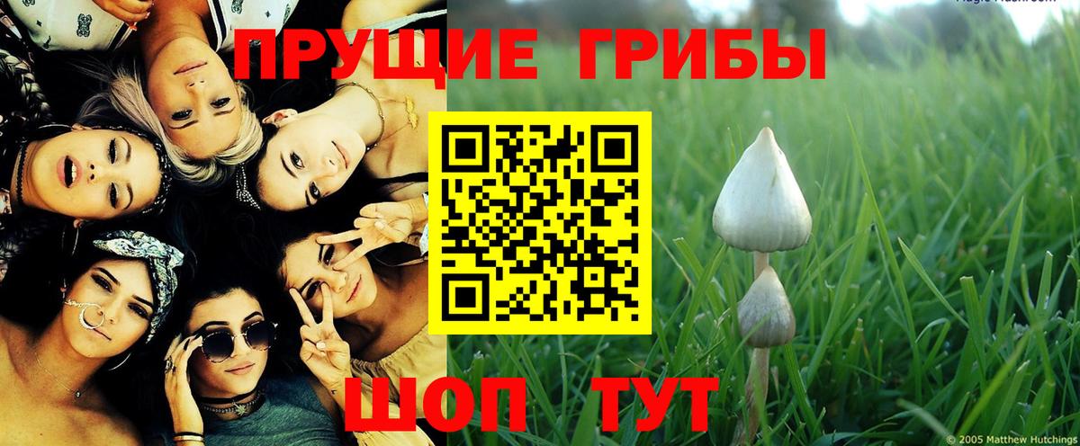 Галлюциногенные грибы Magic Shrooms Казань